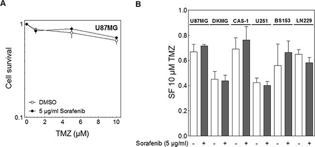 Effect of sorafenib on chemosensitivity.