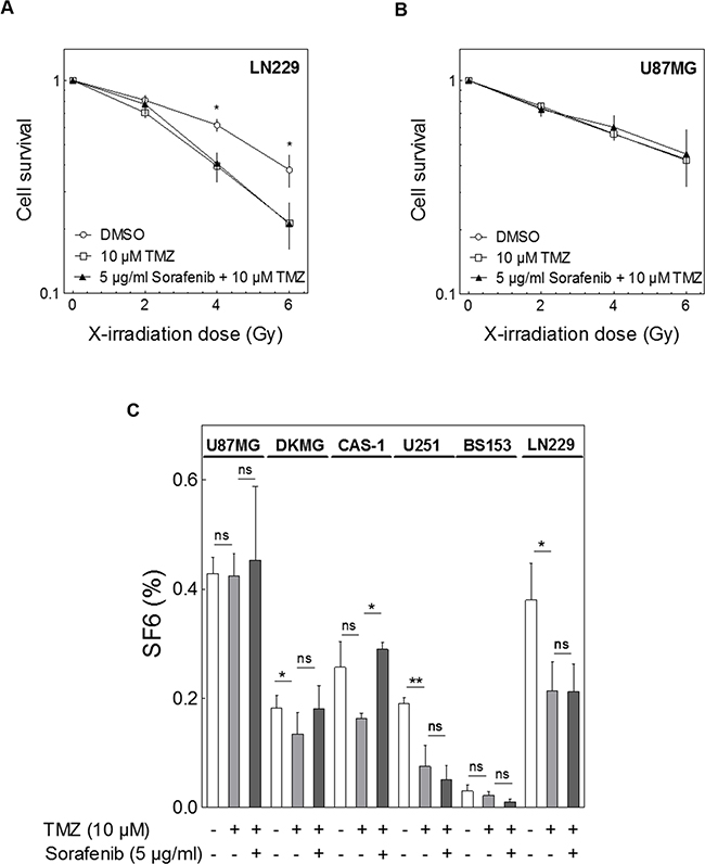 Impact of sorafenib on combined treatment with irradiation and TMZ.