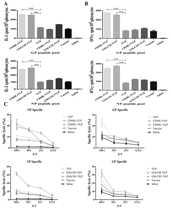 ELISPOT and CTL assay of splenocytes from immunized mice.