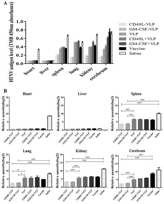 Detection of viral load in main organs after virus challenge.