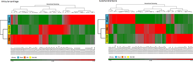 Hierarchical clustering of the miRNA identified in each expression of library pattern from subchondral bone.