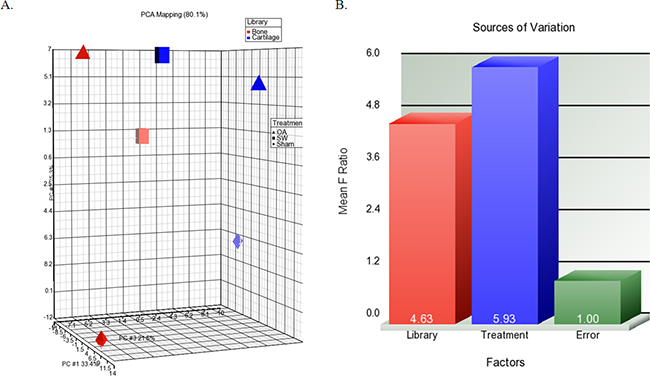 The profile of overall miRNAs expression changes.