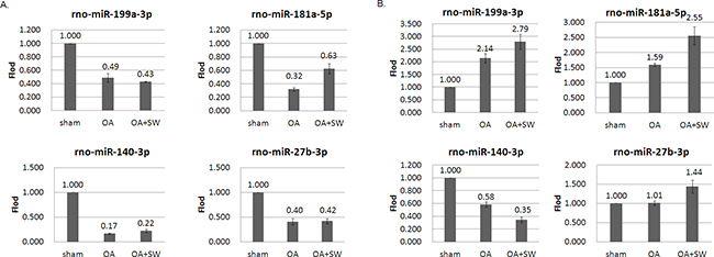 MiRNA expression patterns were evaluated by Quantitative RT-PCR.