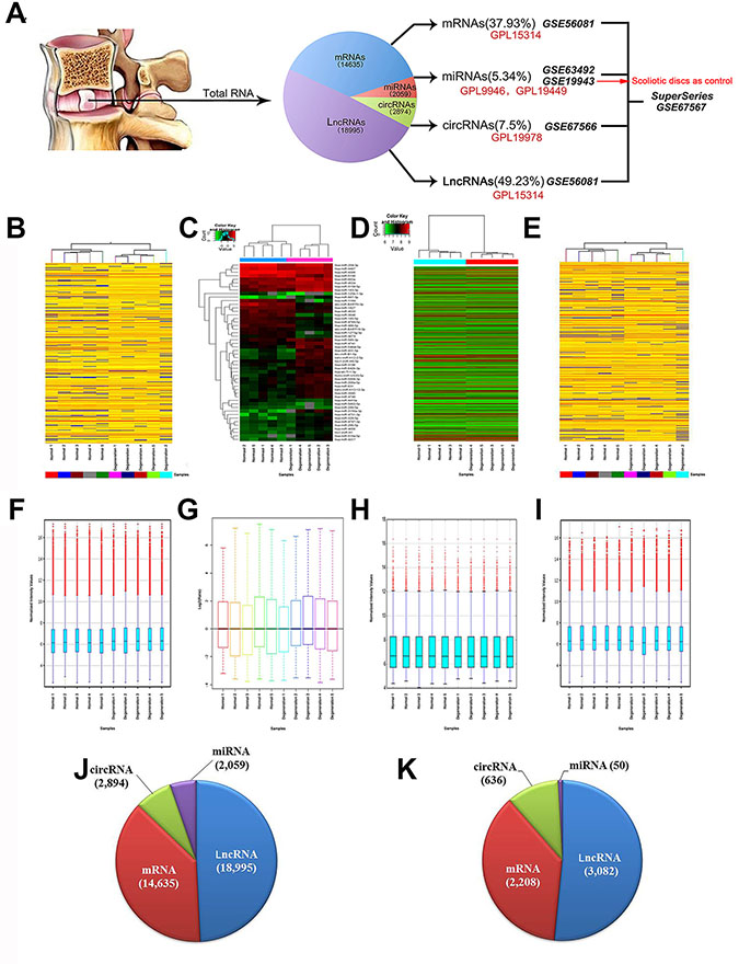 SuperSeries of ncRNAs in human lumbar discs.