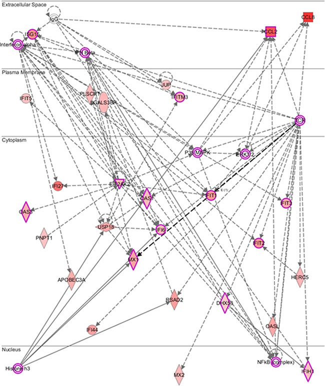 Molecular network predicted by core analysis in Ingenuity pathway analysis (IPA) p.s.