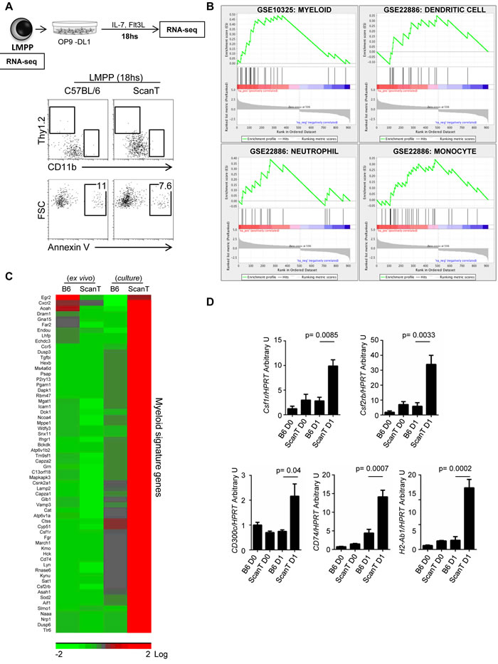 Zbtb1 represses the myeloid program in LMPP cells.