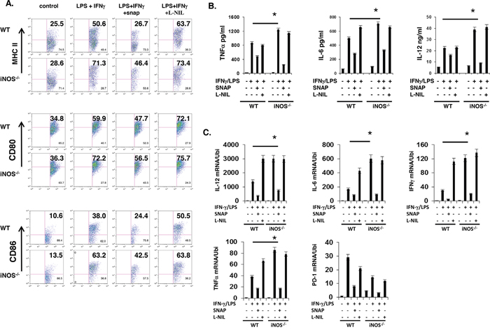 NO suppresses maturation and differentiation of effector DC in vitro.