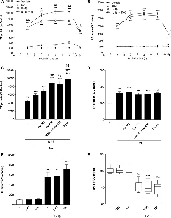 Impact of R(+)-methanandamide (MA) and &#x0394;9-tetrahydrocannabinol (THC) on basal and IL-1&#x03B2;-induced TF expression.