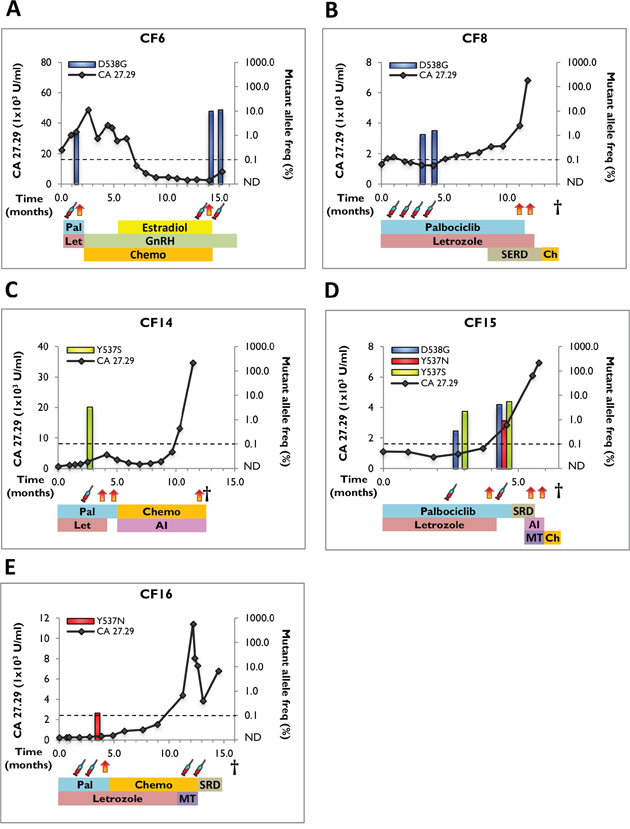 Clinical timeline and mutant allele frequency of ESR1 mutations in serial blood draws from positive cfDNA samples.