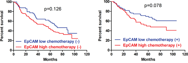 Prognosis stratified by chemotherapy of EpCAM.
