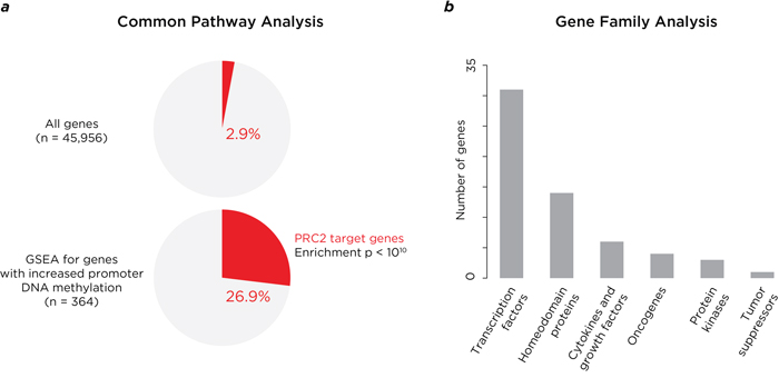 Analysis of properties of genes where DNA methylation is acquired at promoter-proximal locations.