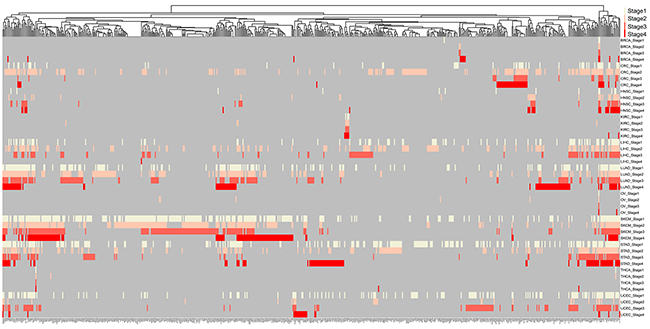 Clustering of 620 mutated genes in at least two cancer stages.