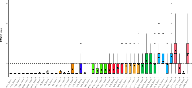 Distribution of FMGS size in four stages across 11 cancer types.