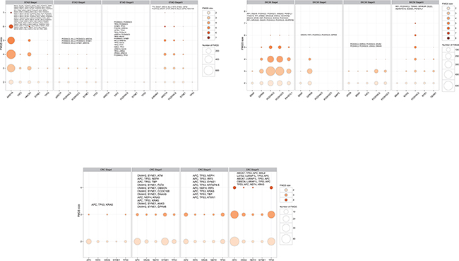 Number of FMGS with different size among the top five highest mutation genes in each clinical stages in selected cancers: CRC, SKCM, and STAD.