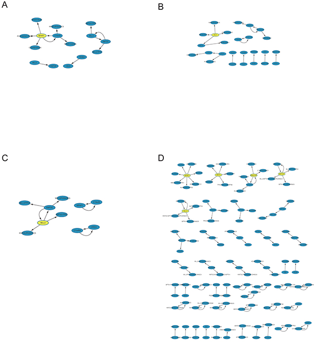 Network-based visualization of the ARs in LUAD four stages.