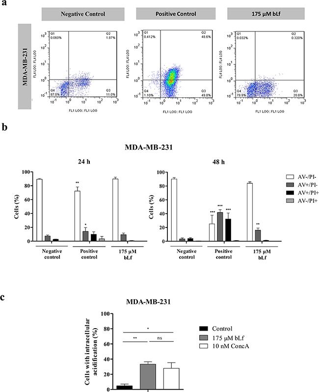 bLf induces apoptosis and intracellular acidification in the highly metastatic breast cancer cell line MDA-MB-231.