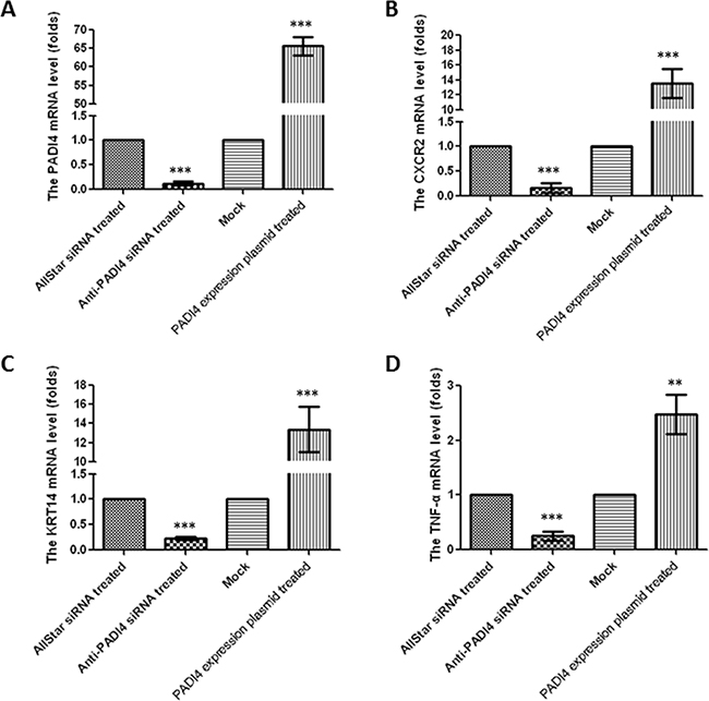 Determination of mRNA expression levels of A.