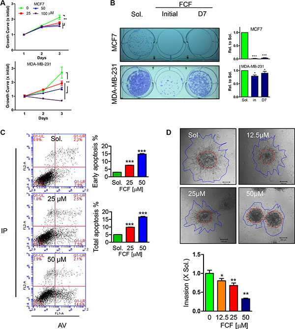 Effects of FCF on proliferation, single cell colony formation, apoptosis and invasion in BC cell lines.