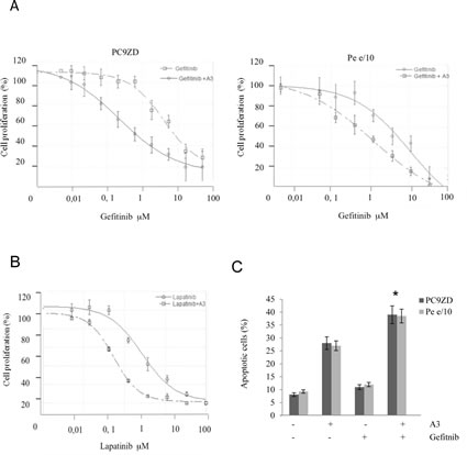 A3 potentiates the effect of TK inhibitors in gefitinib resistant lung cancer cell cultures both in a clonogenic assay and in apoptosis induction.