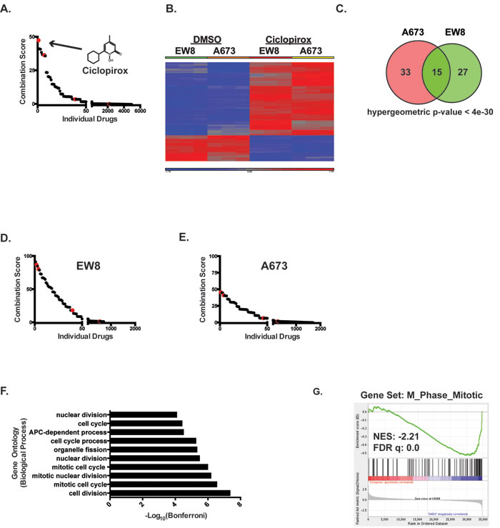 Identification of iron chelators as drugs that downregulate genes that are upregulated by EWS-FLI1.