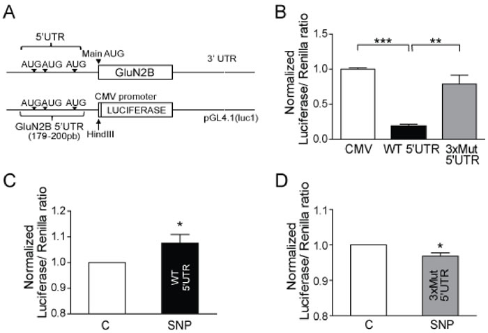 Figure 4: