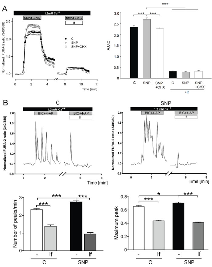 Effect of NO on GluN2B-mediated extrasynaptic and synaptic activity.