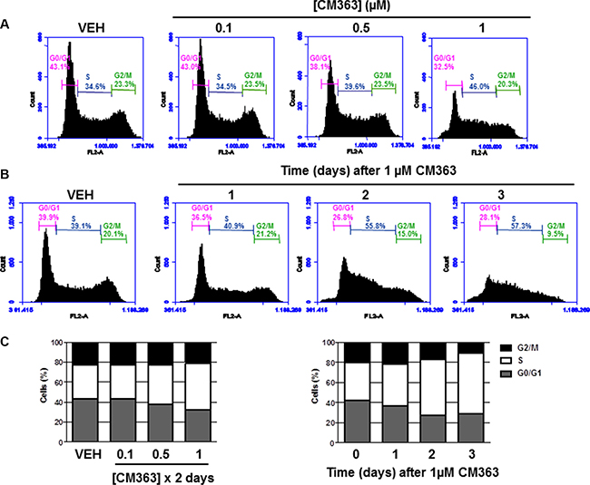 CM363 blocks cell cycle progression in human chronic myelogenous leukemia cells.