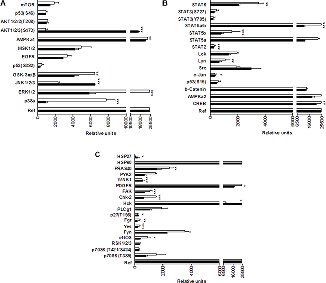 Phosphoprotein analysis array in CM363-treated K562 cells.