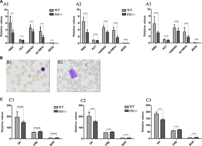 Results of haematology and biochemistry assays.