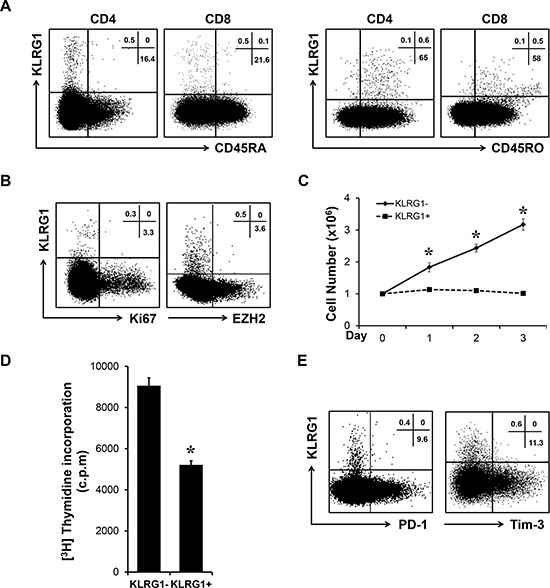 KLRG1+ T cells exhibited senescent characteristics.