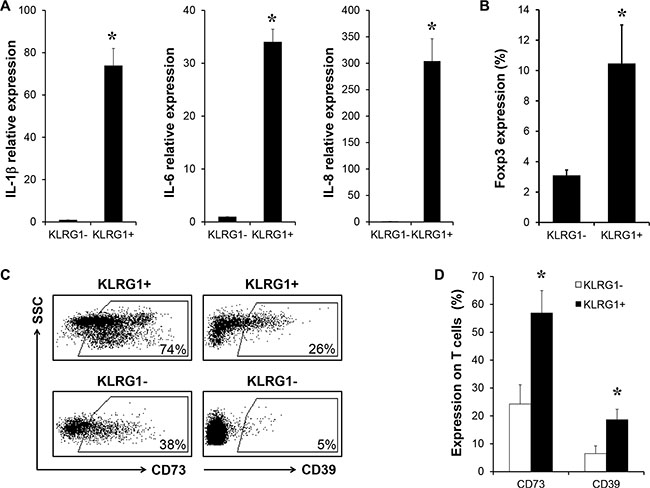 KLRG1+ T cells contributed to the immunosuppressive network in tumor microenvironment.