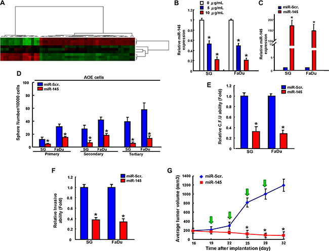 miR-145 effectively reverses long-term arecoline treatment-induced cancer stemness in vitro and in vivo.