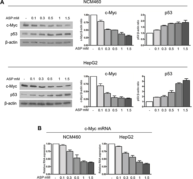 Therapeutic doses of aspirin down-regulate c-Myc protein and increase p53 expression.