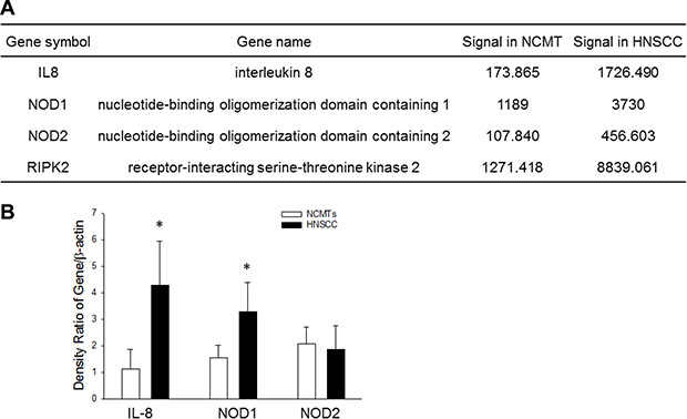 Expression of IL-8 and NOD signaling pathway in NCMT and HNSCC in human tissue.