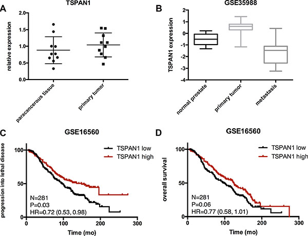 Expression of TSPAN1 in samples and published databases.