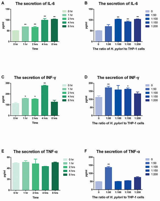 The secretion of IL-6, TNF-&#x03B1; and IFN-&#x03B3; after stimulation of H. pylori.