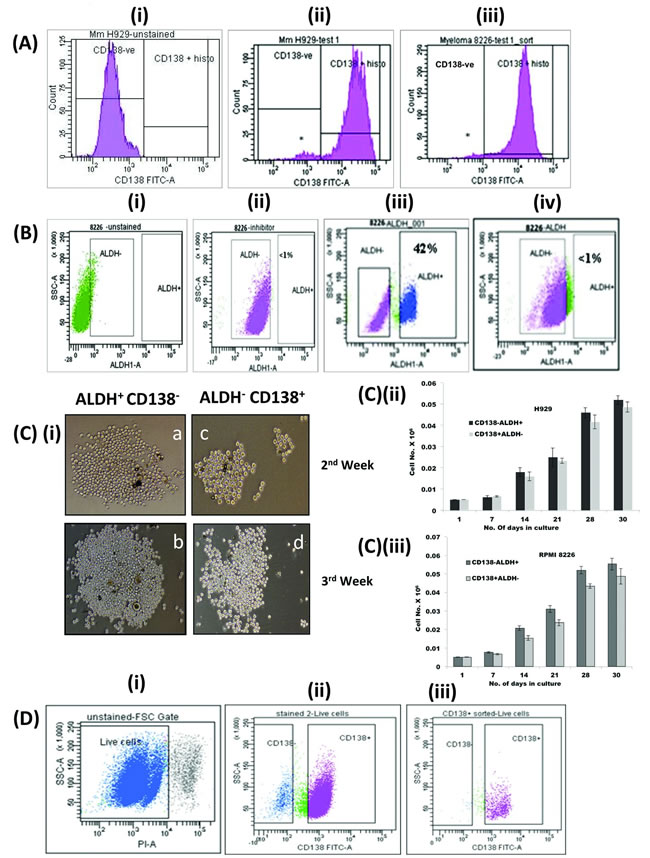 Properties of clonogenic population of myeloma cells: (A) Human MM cell lines H929 and RPMI 8226 contained 2-5% of CD138