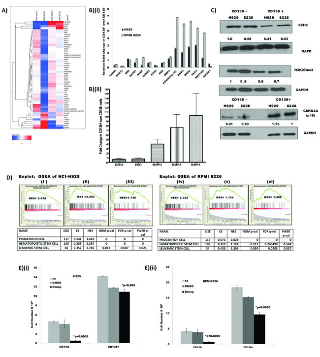 GEP showed differential expression of polycomb repressor complex (PRC) and their target genes: