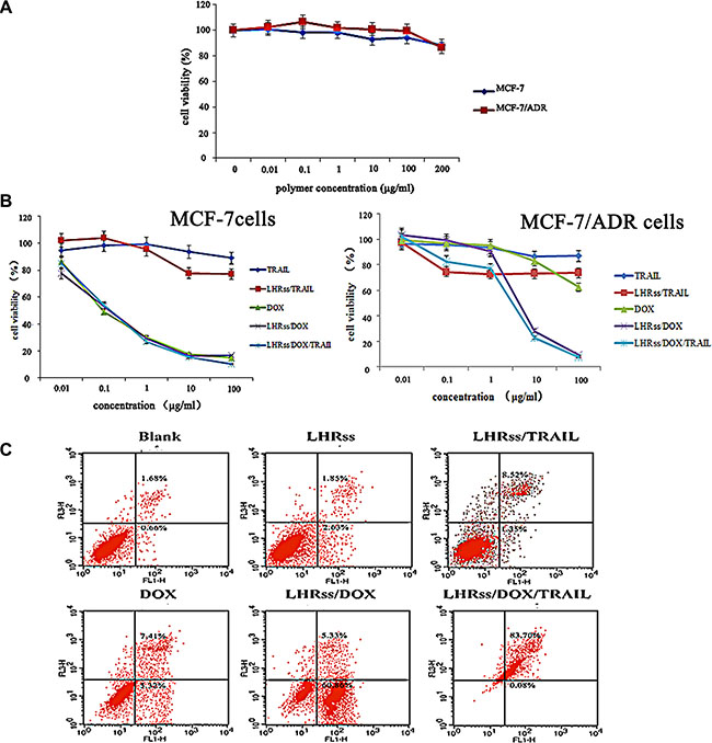 In vitro anti-tumor effect of LHRss/DOX/TRAIL.