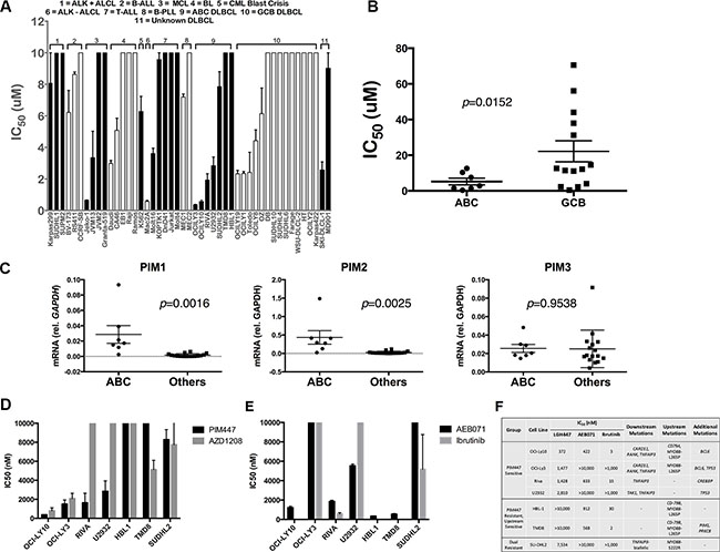 Pan-PIM Inhibition with PIM447 in non-myeloma lymphoid tumor cell lines.