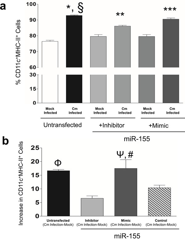 Murine miR-155 regulates expression of Major Histocompatibility Complex II (MHC-II) in