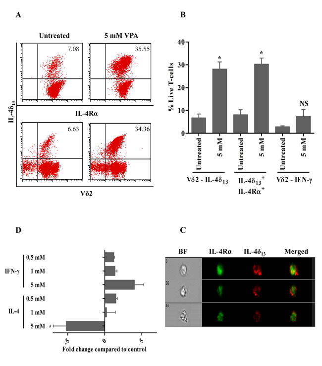 VPA-regulated expression of intracellular cytokines in human &#x3b3;&#x3b4; T-cells.