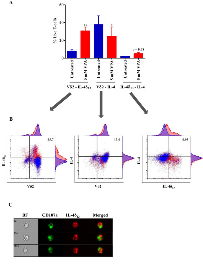 Analysis of non-secretory and mature form of IL-4 in &#x3b3;&#x3b4; T-cells.