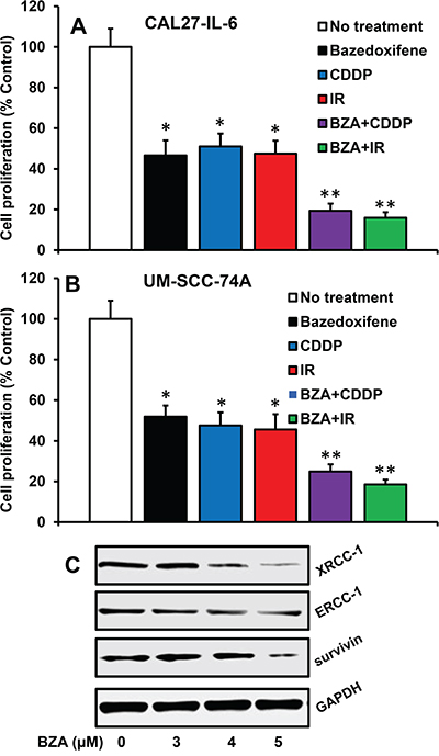 Bazedoxifene reverses cisplatin and radiation-resistance by downregulating XRCC-1, ERCC-1 and survivin.