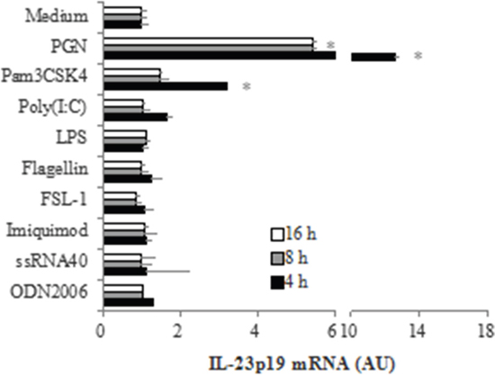 TLR2-mediated induction mRNA expression of IL-23p19 in PC-like cells.