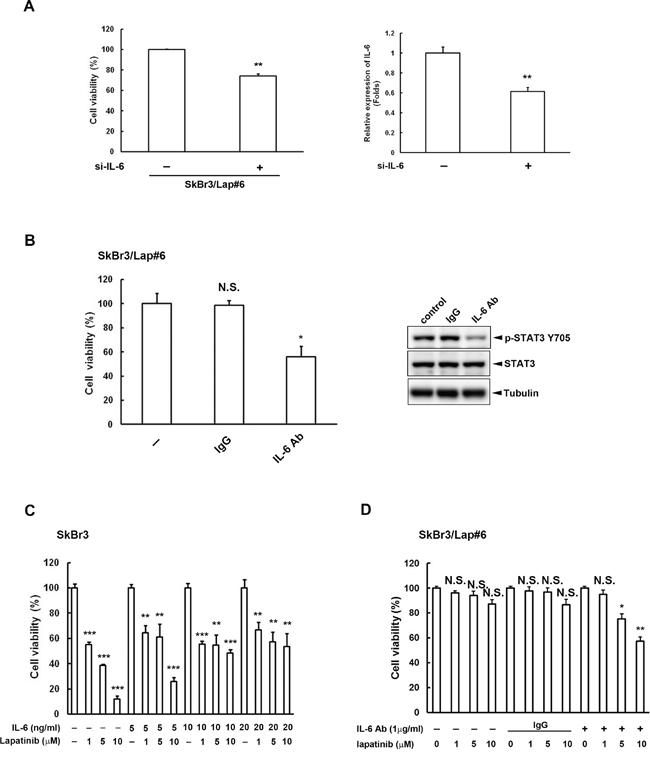 IL-6 activity is critical for lapatinib resistance.