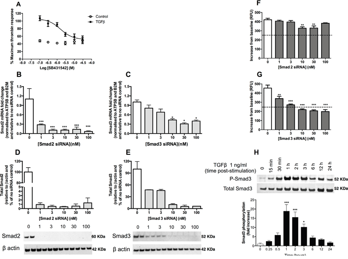 TGF&#x03B2; upregulates PAR-1 expression in A549 lung adenocarcinoma cells via an ALK5-Smad3-dependent mechanism.