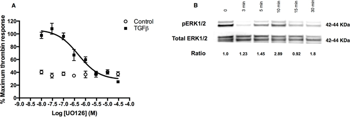 TGF&#x03B2;-ERK1/2 signalling is also involved in regulation of PAR-1 expression in A549 cells.