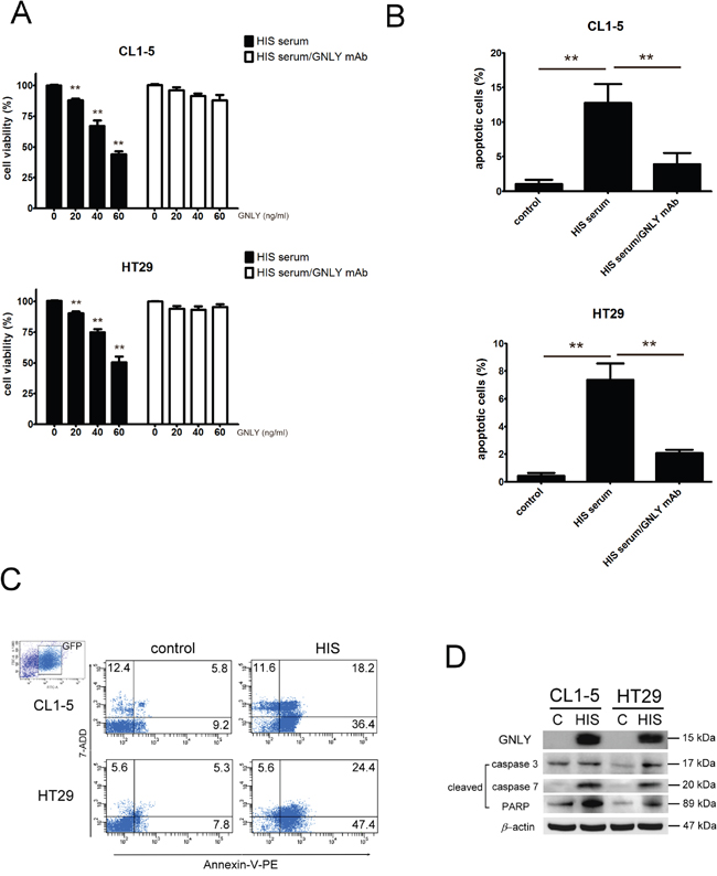 GNLY inhibited tumor growth through apoptosis pathway.