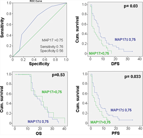 Relationship of the MAP17 levels with the clinical response in sarcomas.